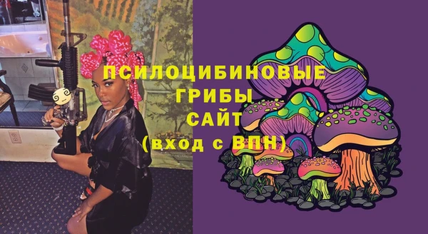 PSILOCYBIN Алексин