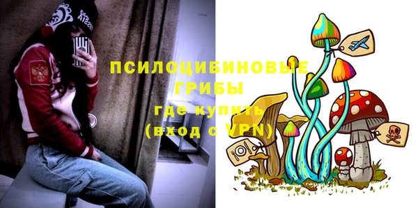 PSILOCYBIN Алексин