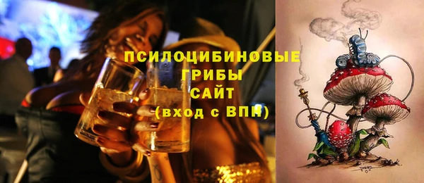 круглые Аркадак
